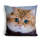 Hosico Ocean Blue Eyeduare Throw Pillow