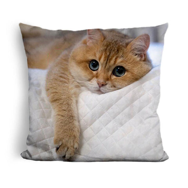 Hosico Rough Dayuare Throw Pillow
