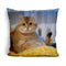 Hosico Privacy Pleaseuare Throw Pillow