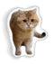 Hosico Curious Cataped Throw Pillow