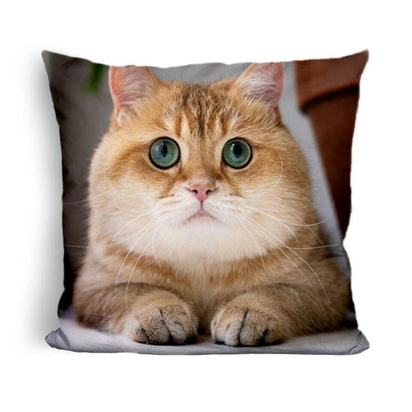 Hosico Star Gazeduare Throw Pillow