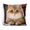 Hosico Star Gazeduare Throw Pillow