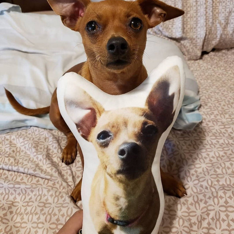 Personalized Miniature Pinscher Pillow